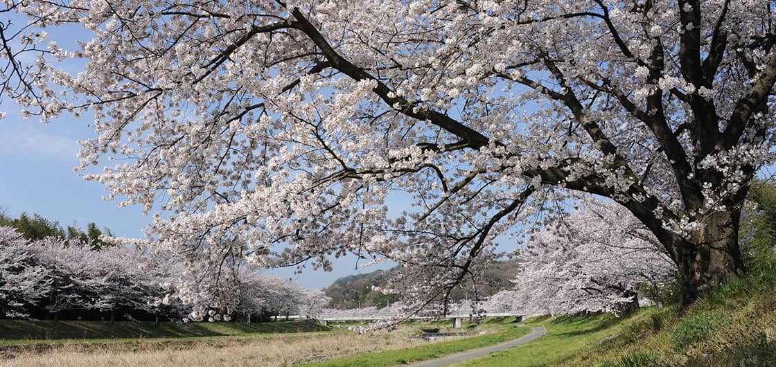 本庄市観光協会