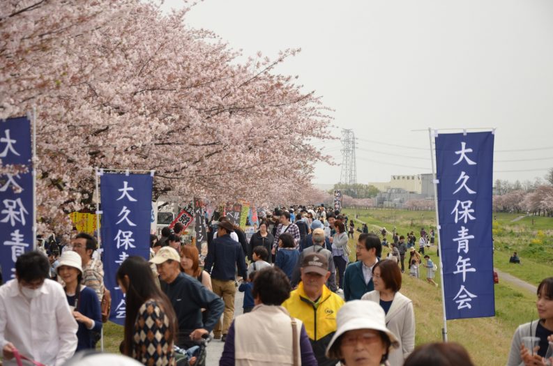 こだま千本桜まつり 本庄市観光協会