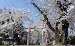 城山稲荷神社