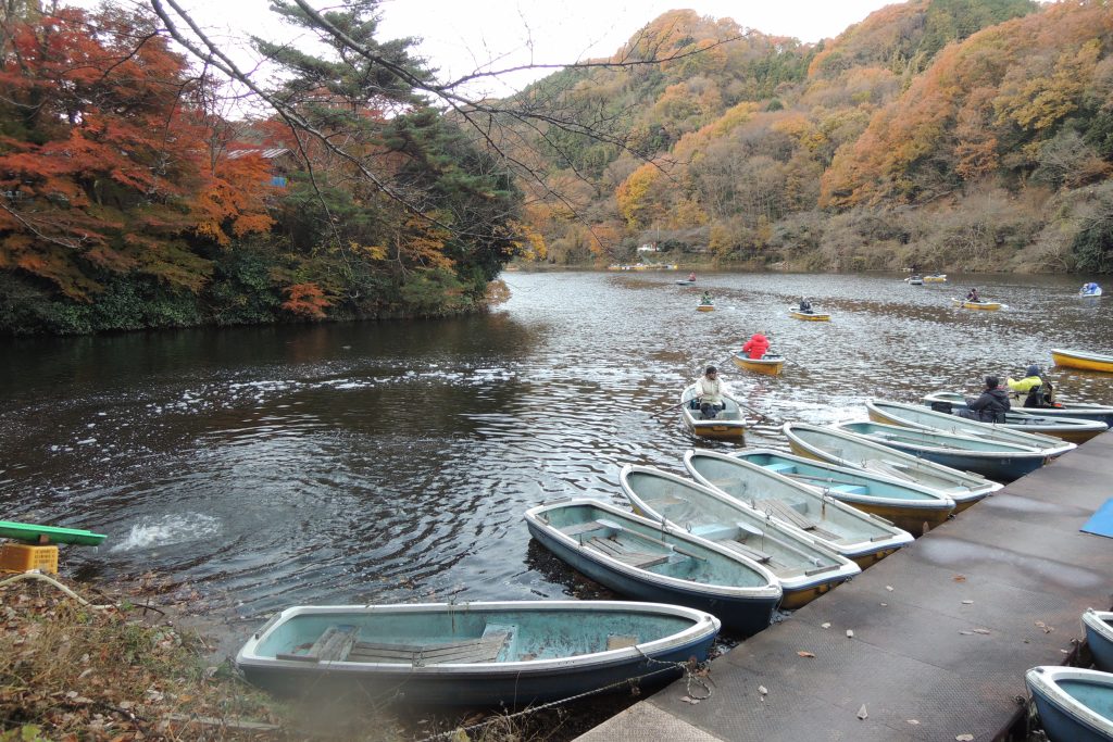 放流後に一斉に繰り出す釣り人