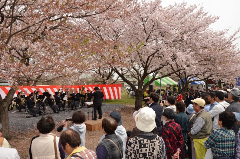 千本 桜 こだま